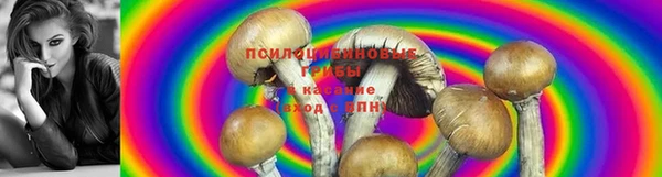 apvp Алексеевка