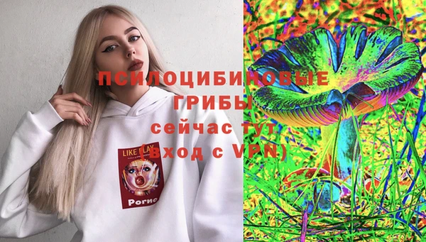 трава Арсеньев