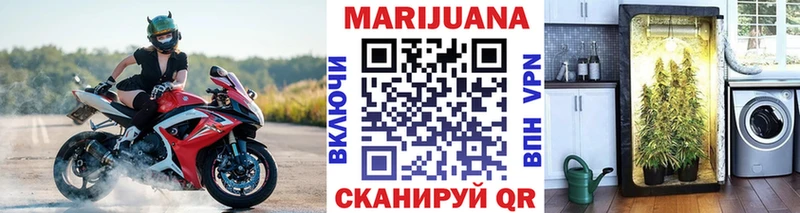 MEGA как войти Сальск МАРИХУАНА индика